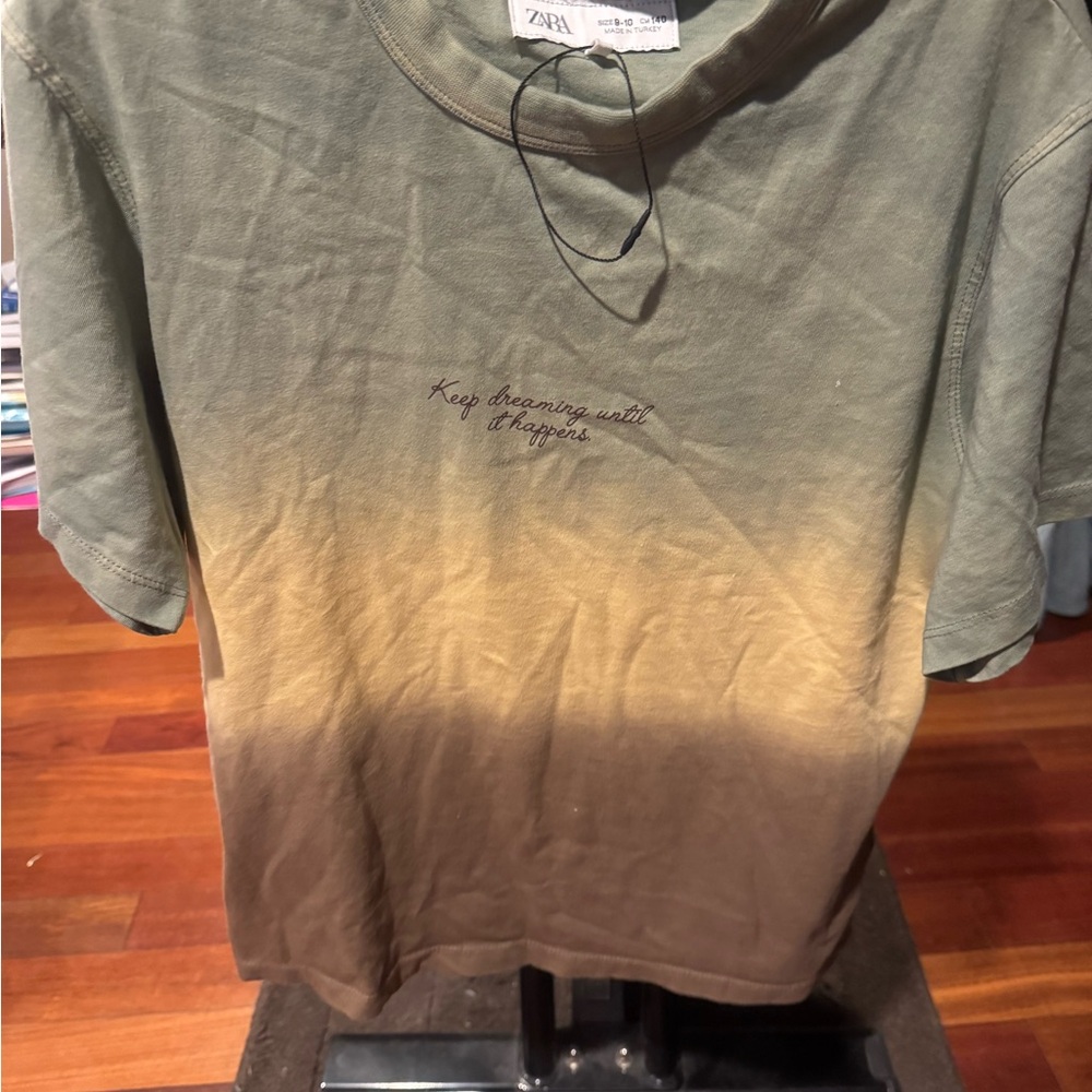Zara Green and Brown Gradient T-Shirt